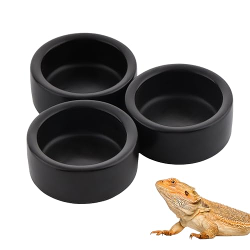 Keramik-Futternapf, Futter- und Wassernapf für Reptilien, Spinnen, Eidechsen, Gecko, Frosch, Schildkröte, Einsiedlerkrebse, Schwarz, 3 Stück Keramik-Futternapf, Futter- und Wassernapf für Reptilien, Spinnen, Eidechsen, Gecko, Frosch, Schildkröte, Einsiedlerkrebse, Schwarz, 3 Stück von DQITJ