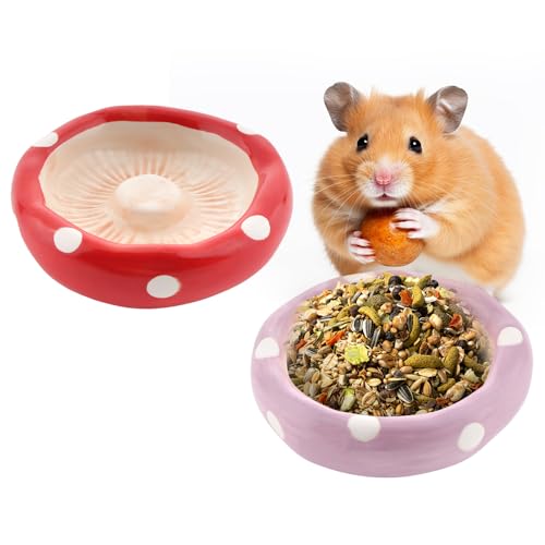 Keramik-Futternapf in Pilzform, Wasserbogen für Hamster, Ratten, Rennmäuse, Meerschweinchen, Igel, Kleintiere, Rot und Lila, 2 Stück von DQITJ