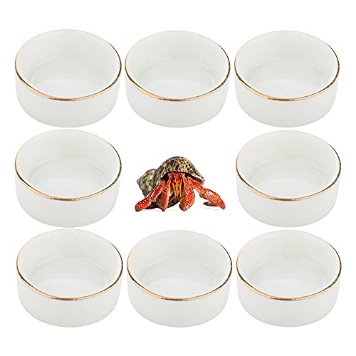 Keramik-Wasserschale für Einsiedlerkrebse, Mini-Speisebehälter für Einsiedlerkrebse, Tarantel, Spinne, kleine Käfer von DQITJ