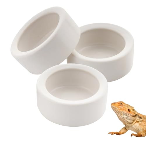 Kleine Reptilien-Futternäpfe aus Keramik, Futter- und Wassernapf für Vogelspinne, Einsiedler, Krabbe, Eidechse, Gecko, Frosch, Schildkröte, kleine Reptilien, 3 Stück (weiß) von DQITJ