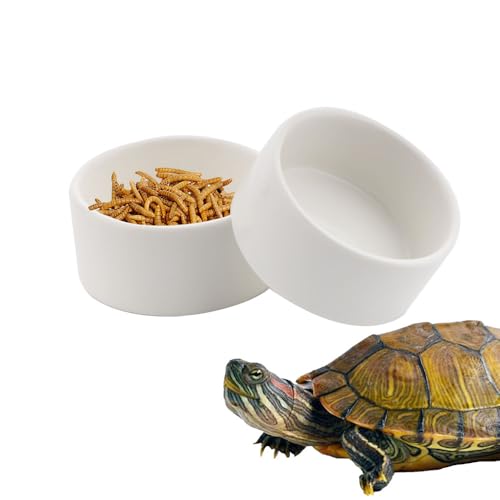 Kleine Wassernapf für Reptilien, Futterschale für Schlangen, Eidechsen, Gecko, Frosch, Einsiedlerkrebse, 2 Stück von DQITJ