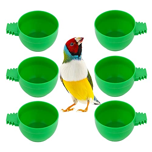 Mini-Futterspender für Papageien, aus Kunststoff, 6 Stück von DQITJ
