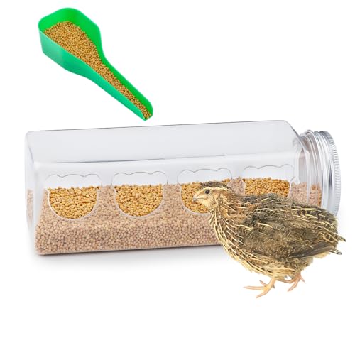 DQITJ Quail Transparent Feeder Rutin Chicken Feed Box Küken Kleine Vogel Samen Futterbehälter mit Futterlöffel (4 Löcher) von DQITJ