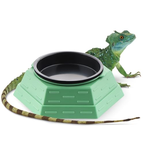 Reptile Feeder Bowl Wurm Anti Escape Dish 2-in-1 Futter- und Wassernapf für Haube, Gecko, Eidechse, Chamäleon, kleine Reptilien Reptile Feeder Bowl Wurm Anti Escape Dish 2-in-1 Futter- und Wassernapf für Haube, Gecko, Eidechse, Chamäleon, kleine Reptilien von DQITJ