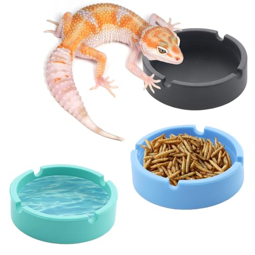 Reptilien-Futternapf aus Silikon, wiederverwendbar, für kleine Reptilien, Eidechsen, Gecko, Frosch, Schlange, Schildkröte, Einsiedlerkrebse, 3 Stück von DQITJ