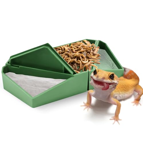 Reptilien-Futterschale 3-in-1 Reptiliennapf mit zerlegbarem Abschnitt für Futter Wasser für Bartagamen Chamäleon Gecko Frosch Kleine Reptilien Reptilien-Futterschale 3-in-1 Reptiliennapf mit zerlegbarem Abschnitt für Futter Wasser für Bartagamen Chamäleon Gecko Frosch Kleine Reptilien von DQITJ
