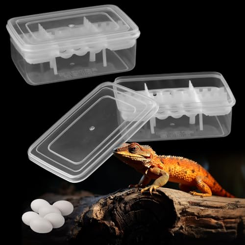 Reptilienzuchtbox, 2 Stück, 16 Fächer, Eierbrutkasten für Brutei, Schlange, Eidechsen, Schildkröte, Löwenmähne, Gecko ohne Thermometer (weiß) von DQITJ