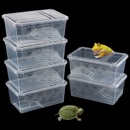 Schildkröten-Tank-Zuchtbox, gehörnter Frosch, Kunststoff, tragbarer Futterbehälter für kleine Reptilien, Amphibien, gehörnte Frosch, Schildkröte, Schildkröte, 6 Stück von DQITJ