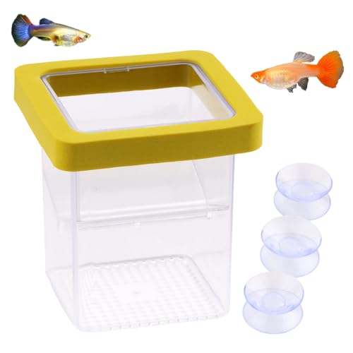 Schwimmende Fischzucht-Isolationsbox aus Acryl, schwimmende Schlüpfbox für Babyfische, Garnelen, Clownfische, Betta-Eier, Aquarium, 1 Packung von DQITJ