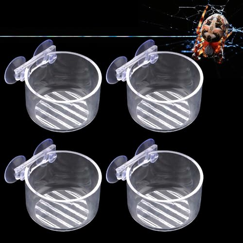 Springende Spinne Futternapf Wassernapf mit Saugnapf für Springspinnen Tarantel Tausendfüßler kleine Reptilien 4 Stück von DQITJ
