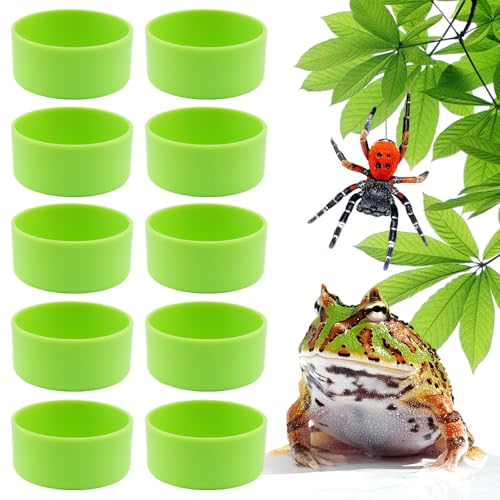 Tarantel Mikro-Wassernapf für Reptilien, klein, für Spinne, Gecko, Eidechse, Hörner, Frosch, Schildkröte, Grün, 10 Stück von DQITJ