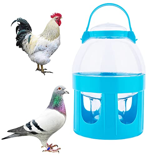 Taubenwasserspender Futterspender, 2L Wassertopf Behälter mit Griff für Taube Huhn Papagei Ente Geflügel (blau) von DQITJ