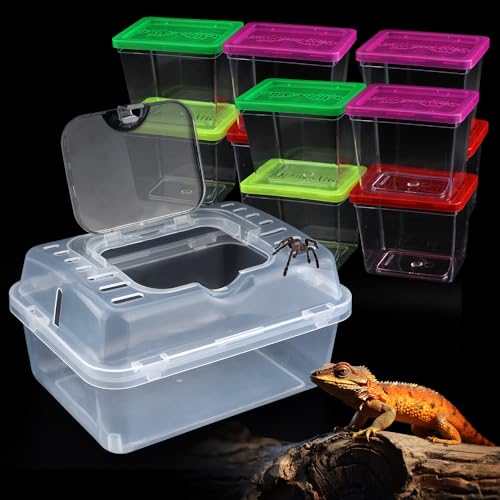 Transparentes tragbares Insekten-Terrarium mit Griff für Spinne, Schnecke, Schildkröte, Einsiedler, Krabben, Gecko, Insekten, kleine Reptilien (mit 10 kleinen Kunststoff-Reptilienträger) von DQITJ