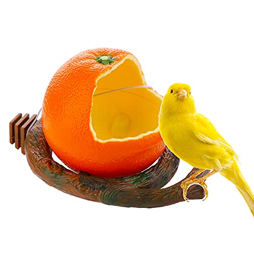 Vogelfutterstation in Obstform mit Klemmhalter für Haustiere, Futter- und Wassernapf für Papageien, Käfigdekoration (orange) von DQITJ
