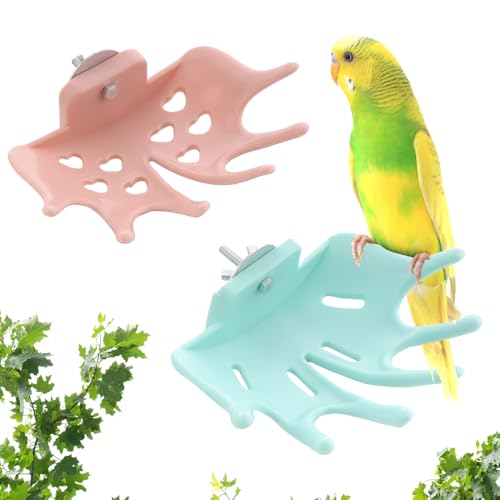 Vogelsitzstange, Spielplatz, Käfigzubehör für Sittiche, Wellensittiche, Nymphensittiche, Nymphensittiche, kleine Vögel, Blau und Rosa, 2 Stück von DQITJ