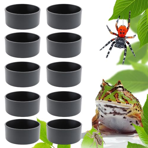 Wassernapf für Reptilien, klein, Futternapf für Spinne, Gecko, Eidechse, Hörner, Frosch, Schildkröte, Schlange (schwarz), 10 Stück von DQITJ