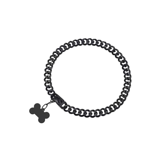 DQZRTUECA 10 mm breites, Robustes Hundehalsband mit Edelstahlkette, strapazierfähiges, zähes Trainingshalsband for kleine, mittlere und große Hunde(Black,12 inches) von DQZRTUECA