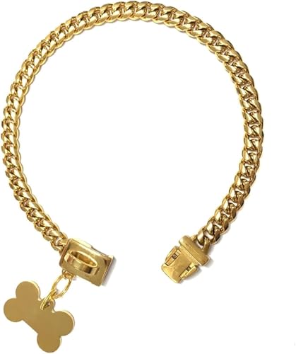 DQZRTUECA 10 mm breites, Robustes Hundehalsband mit Edelstahlkette, strapazierfähiges, zähes Trainingshalsband for kleine, mittlere und große Hunde(Gold,20 inches) von DQZRTUECA