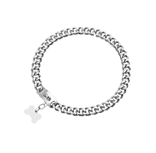 DQZRTUECA 10 mm breites, Robustes Hundehalsband mit Edelstahlkette, strapazierfähiges, zähes Trainingshalsband for kleine, mittlere und große Hunde(Silver,18 inches) von DQZRTUECA
