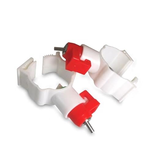 100 Stück Hühnernippel Trinkwasser 20 mm Schnalle Geflügel Wasserkugel Nippel Bauernhof Tiere Schrauben Trinker Hühnerzucht Zubehör 100 Stück Hühnernippel Trinkwasser 20 mm Schnalle Geflügel Wasserkugel Nippel Bauernhof Tiere Schrauben Trinker Hühnerzucht Zubehör von DRBAPQLXD