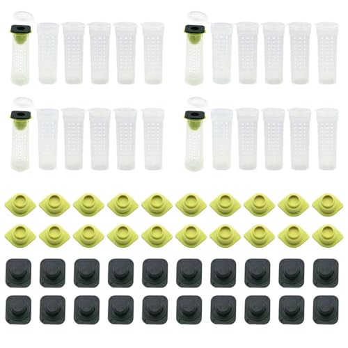 Schutzkäfige für Bienenkönigin, 200 Sets, Glashalter für Bienenzellen, Zuchtbecher und Zubehör für Zellen, Imkerausrüstung (Grün, 200 Sets) von DRBAPQLXD