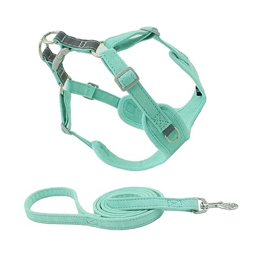 DRESSOOS Und Leine Set Welpen Haushalt Hundeleine Verschleiß-beständig Tragbare Hund Zubehör Mint Grün XXS von DRESSOOS