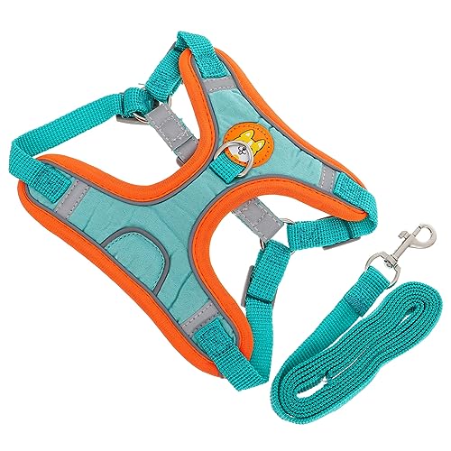 DRESSOOS Verstellbare Hundegeschirr-Leine Hundegeschirr-Weste Outdoor-Hundeleine-Kit Haustiergeschirr für von DRESSOOS