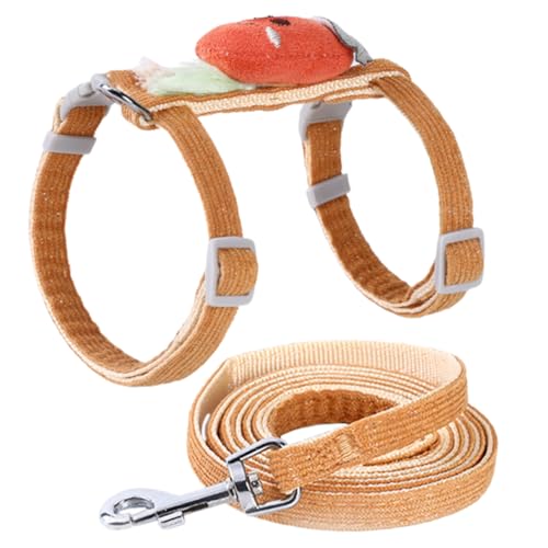 DRESSOOS Haustier- Und Leinen-Set Für Kleintiere Für Katzen Kätzchen Welpen Frettchen Modisch Und Stilvoll von DRESSOOS