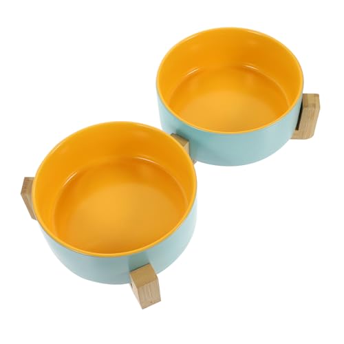 DRESSOOS 1 Set Katzenwassernapf, Haustier Futternapf, Wiederverwendbarer Hundenapf, Praktischer Haustiernapf, Haustier Wassernapf, Erhöhter Katzennapf, Schöner Katzennapf, Schöner von DRESSOOS