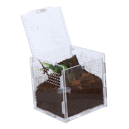 DRESSOOS Exquisite Zuchtbox für Springspinnen Insektenhabitat aus Acryl Aufbewahrungsbox für Reptilien Futterbox für Springspinnen von DRESSOOS