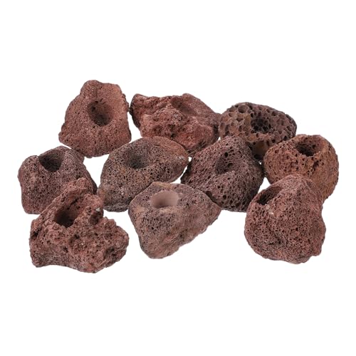 DRESSOOS 10 Stücke Ornament Aquarium Lebensraum Aquarium Dekorationen Höhle Für Süßwasserfische DRESSOOS 10 Stücke Ornament Aquarium Lebensraum Aquarium Dekorationen Höhle Für Süßwasserfische von DRESSOOS