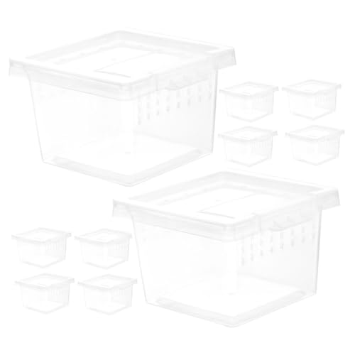 DRESSOOS 10St Futterbox für Haustiere Zubehör für Reptilien Eidechsenbecken Geckobecken Tank Reptilienbehausungsbox Kleintierbehausungsbox kreativer Inkubator Futterbehälter füttern Plastik DRESSOOS 10St Futterbox für Haustiere Zubehör für Reptilien Eidechsenbecken Geckobecken Tank Reptilienbehausungsbox Kleintierbehausungsbox kreativer Inkubator Futterbehälter füttern Plastik von DRESSOOS