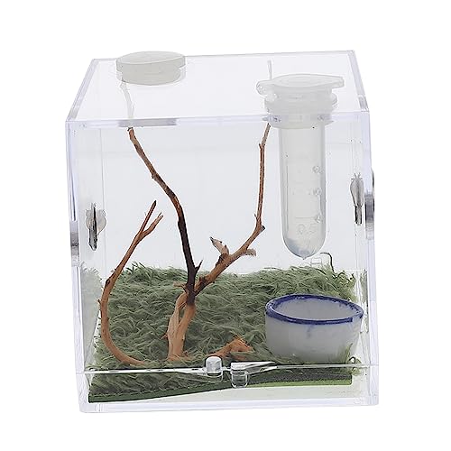 DRESSOOS 1Satz Kleine Spider Habitat Box für Haustiere Zuchtkasten für Spring und Kletterspinnen Insekten und Kleine Reptilien für Gartenpflege von DRESSOOS