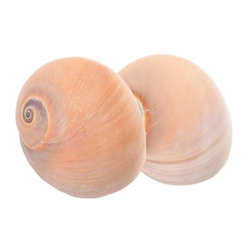 DRESSOOS 2stücke Natürliche Muschelschalen Aquarium Dekoration Handgefertigte Conch Ornamente Für Fischbecken Langlebig Und Elegant Für Unterwasserlandschaften DRESSOOS 2stücke Natürliche Muschelschalen Aquarium Dekoration Handgefertigte Conch Ornamente Für Fischbecken Langlebig Und Elegant Für Unterwasserlandschaften von DRESSOOS