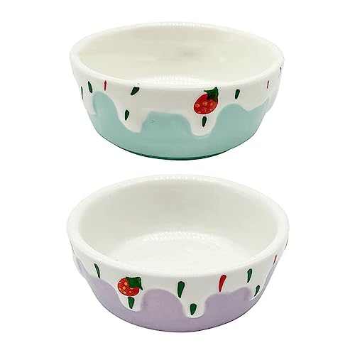 DRESSOOS 2-teiliges Keramik-futternapf-Set Für Haustiere Hamster-futterbehälter Hamsterfutterbecken Stilvoll Funktional von DRESSOOS