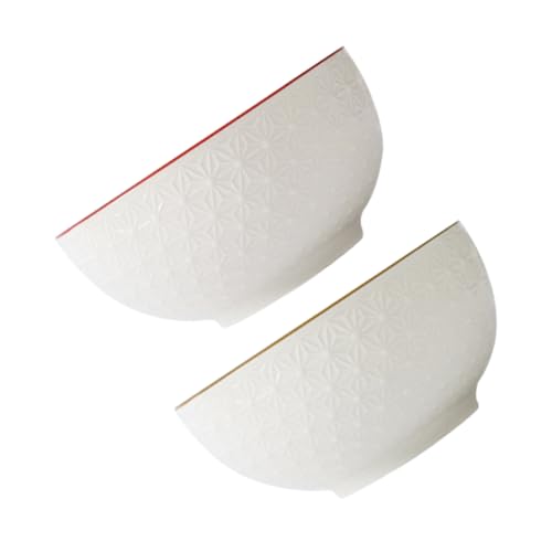 DRESSOOS 2 Stück Keramik Reisschüssel Nudelhalter Servierschüssel Heimküche Salatschüssel Keramik Suppenschüssel Aufbewahrungsschüsseln Nudelschüssel Heimschüsseln Esszimmer von DRESSOOS