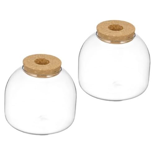 DRESSOOS 2 Stück Mikrolandschaftsflasche, Mehrzweck Glasflasche, Terrarium, Desktop Mikrolandschaftsflasche, Leeres Glas, Mikrolandschaftsflasche, DIY Sukkulentenpflanzenflasche, von DRESSOOS