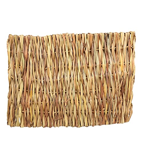 DRESSOOS 2 Stück Seagrass Grasmatte Essbar Kauspielzeug für Kleintiere Hamster Kaninchen Meerschweinchen Käfigunterlage Natürliche Faser Ruheplatz DRESSOOS 2 Stück Seagrass Grasmatte Essbar Kauspielzeug für Kleintiere Hamster Kaninchen Meerschweinchen Käfigunterlage Natürliche Faser Ruheplatz von DRESSOOS
