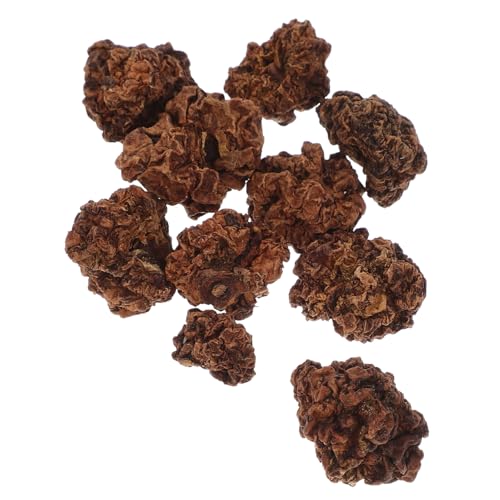 DRESSOOS 2sets Haustier Kauspielzeug Katze Zahnungsspielzeug Für Kätzchen Natürliche Silvervine Kätzchen Für Katzenspielzeug 10 Stücke * 2 von DRESSOOS