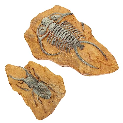 DRESSOOS Schlangenlandschaft Terrarium Gecko Box Ornamente Simulation Reptilien Dekorationen Reptilien Dekore für Haustiere von DRESSOOS