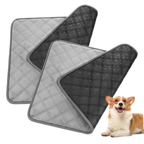 DRESSOOS Hunde-PIPI-Pads Waschbar 2er-Pack Trainingspads Für Haustiere Saugfähiger Kern Weicher Plüschbezug rutschfest Für Den Innenbereich Auto von DRESSOOS