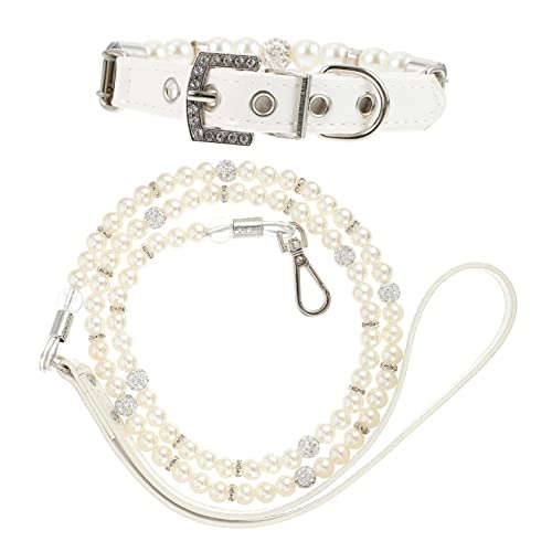 DRESSOOS Hundehalsband Mit Doppelperlen Haustierhalsband Und Leine Set Für Festivals Und Partys von DRESSOOS
