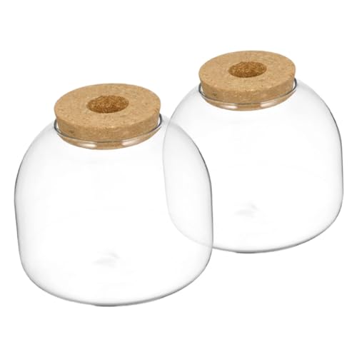 DRESSOOS Mikrolandschaft Ökologische Glasflasche Mit Stopfen Terrarium Glasflasche Für Moos Und Wasserpflanzen Dekorative Flasche Für Gärten Und Aquarien DRESSOOS Mikrolandschaft Ökologische Glasflasche Mit Stopfen Terrarium Glasflasche Für Moos Und Wasserpflanzen Dekorative Flasche Für Gärten Und Aquarien von DRESSOOS