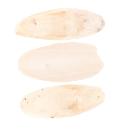 DRESSOOS 3stücke Parrot Cuttlebone Kauspielzeug Calcium Molar-Spielzeug Für Vögel Beißen Und Knabbern Für Sittiche Und Andere Kleine Haustiere Beige DRESSOOS 3stücke Parrot Cuttlebone Kauspielzeug Calcium Molar-Spielzeug Für Vögel Beißen Und Knabbern Für Sittiche Und Andere Kleine Haustiere Beige von DRESSOOS