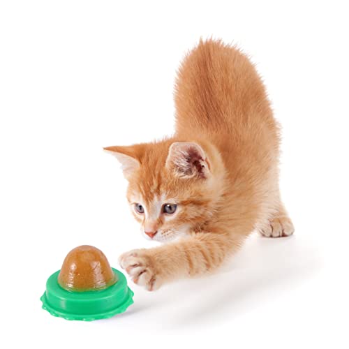 DRESSOOS 3Stücke Katzenminze Lutscher Gesunde Katzensüßigkeit mit Vitamin Pudding Sicherer Snack für Katzen und Kätzchen Zufälliger Geschmack DRESSOOS 3Stücke Katzenminze Lutscher Gesunde Katzensüßigkeit mit Vitamin Pudding Sicherer Snack für Katzen und Kätzchen Zufälliger Geschmack von DRESSOOS