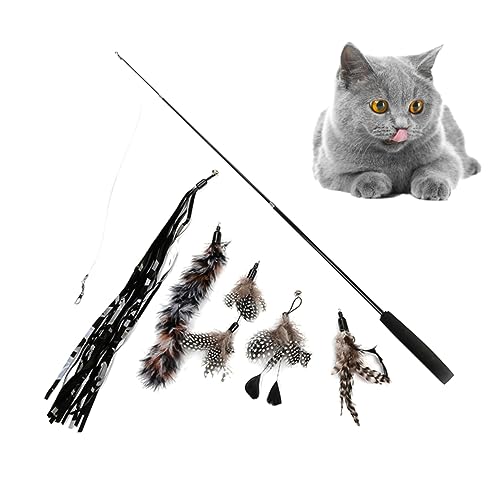 DRESSOOS 6St Katze Zauberstab Spielzeug Haustier Teleskopstange Angeln Streichelstock für Katzen Playtime cat Toys Toy Set Katzen spielsachen Katzenangel Katzen-Teaser Feder einstellen von DRESSOOS