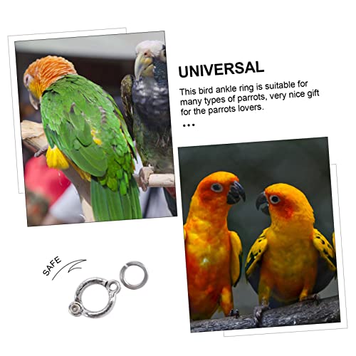 DRESSOOS 6St Papagei offenes Fußkettchen Käfig Tauben Papagei fliegen Ring Henne Hühner Vogel-Knöchel-Accessoires Vogelfußringe aus Metall Fußkettenringe Vogelzubehör Flug Vogel aus Metall von DRESSOOS