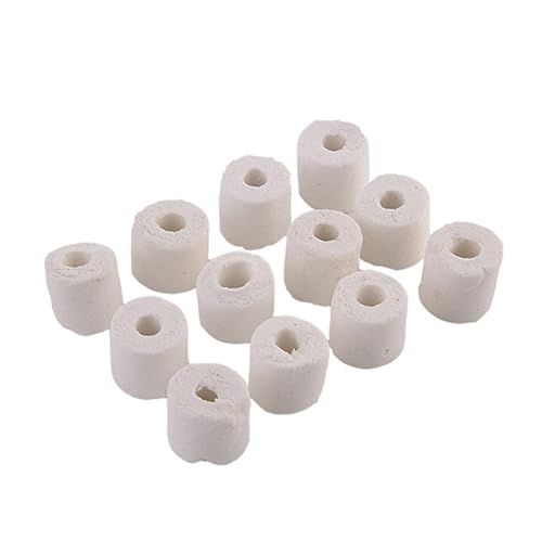 DRESSOOS Biologisches Filtermaterial Für Aquarien 500g Keramikfilterringe Für Optimale Wasserqualität Hochwertige Filterringe Für Aquarienfilter Und Teichfilter DRESSOOS Biologisches Filtermaterial Für Aquarien 500g Keramikfilterringe Für Optimale Wasserqualität Hochwertige Filterringe Für Aquarienfilter Und Teichfilter von DRESSOOS