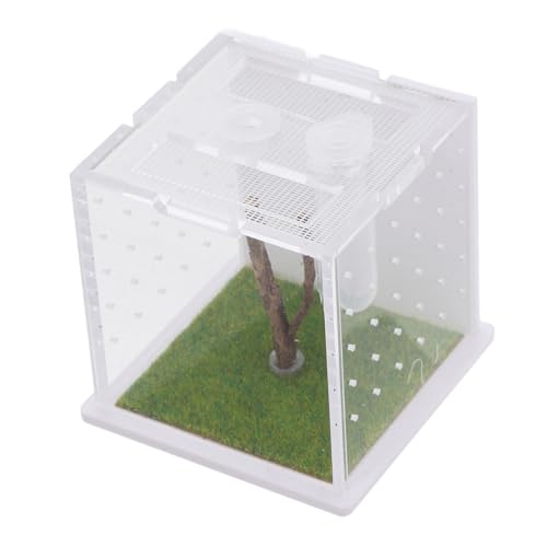 DRESSOOS Acrylgehäuse Für Springspinnen Luftbefeuchter Insektenlebensraum Für Reptilien Beobachtungsfütterungsbox von DRESSOOS