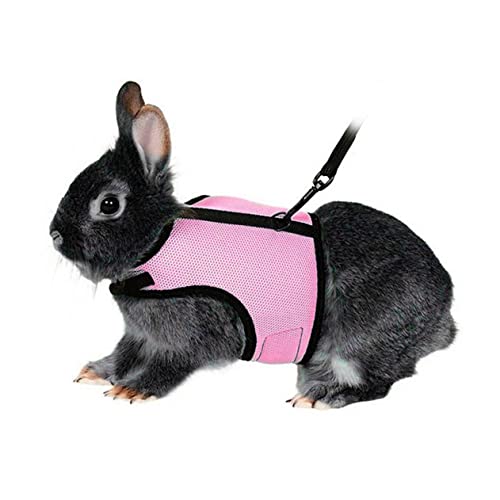 DRESSOOS Hundegeschirr Mit Elastischem Geschirr Für Kleine Kaninchen Und Häschen Verstellbarer Nylon-geschirrriemen Leine Für Kleine Haustiere von DRESSOOS